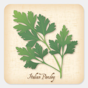 Italian Parsley Herb Square Sticker