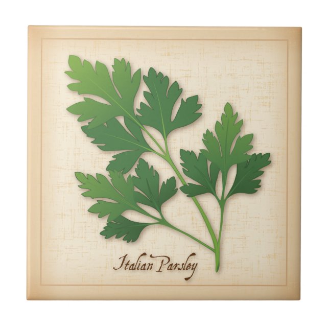 Italian Parsley Herb Tile (Front)