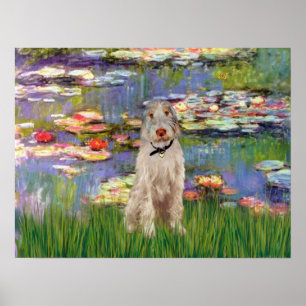 Italian Spinone 12 - Lilies 2 Poster