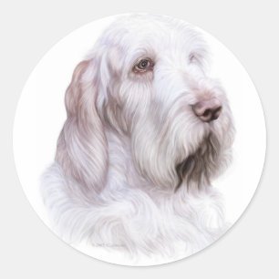 Italian Spinone Italiano Classic Round Sticker