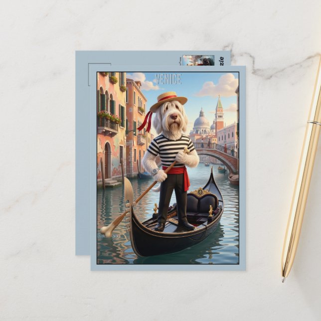 Italian Spinone Venice Postcard (Front/Back In Situ)
