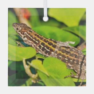 Italian wall lizard glass ornament