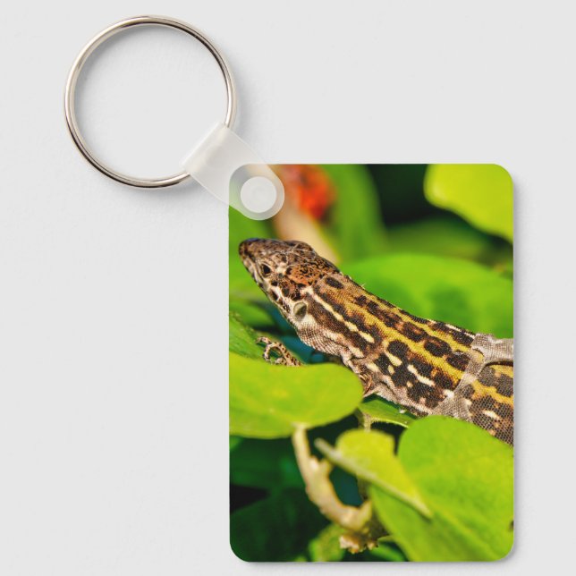 Italian wall lizard keychain (Front)