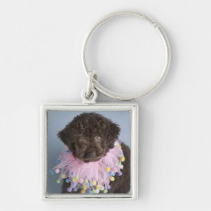 Italian Water Dog (Lagotto) Puppy Keychain