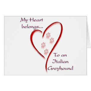 Italie Greyhound Heart Belongs