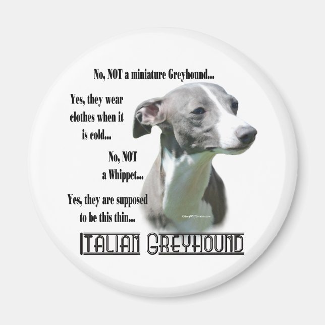 Italien Greyhound FAQ Magnet (Devant)