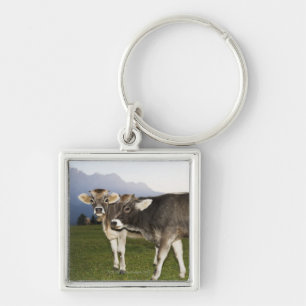 Italy, Alto Adige Keychain