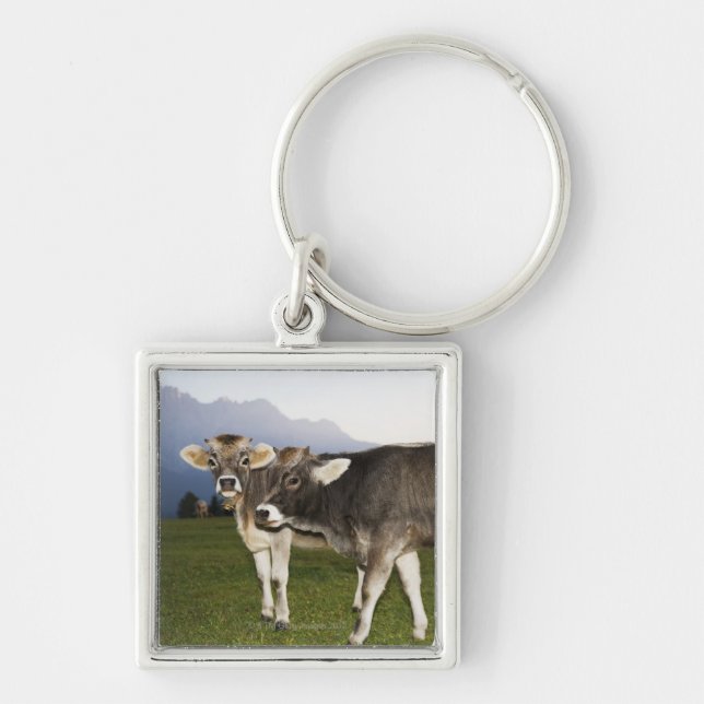 Italy, Alto Adige Keychain (Front)