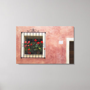Italy, Asciano, Window Boxes with Fresh Spring Canvas Print