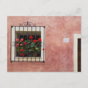 Italy, Asciano, Window Boxes with Fresh Spring Postcard