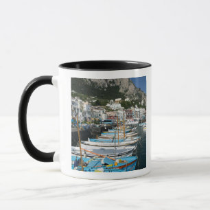 ITALY, Campania, (Bay of Naples), CAPRI: Marina Mug