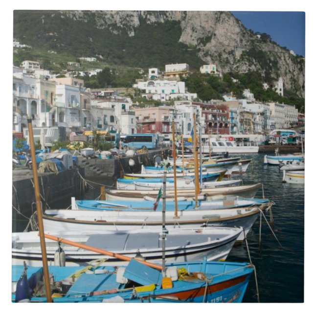 ITALY, Campania, (Bay of Naples), CAPRI: Marina Tile (Front)