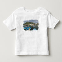 ITALY, Campania, (Bay of Naples), ISCHIA, FORIO: 2