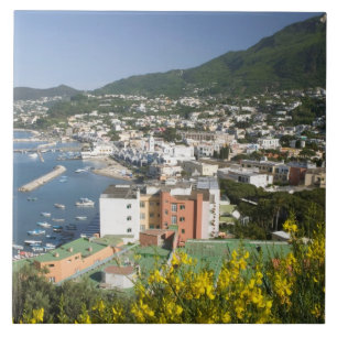 ITALY, Campania, (Bay of Naples), ISCHIA, LACCO Tile
