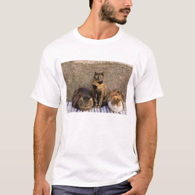 Italy, Cinque Terre, Vernazza. Three cats T-Shirt (Front)