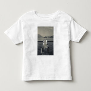 Italy, Como Province, Tremezzo. Lake pier. Toddler T-shirt