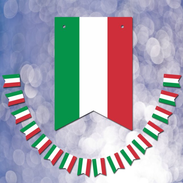 Italy Flag & Party Italian Banners / Weddings (Creator Uploaded)