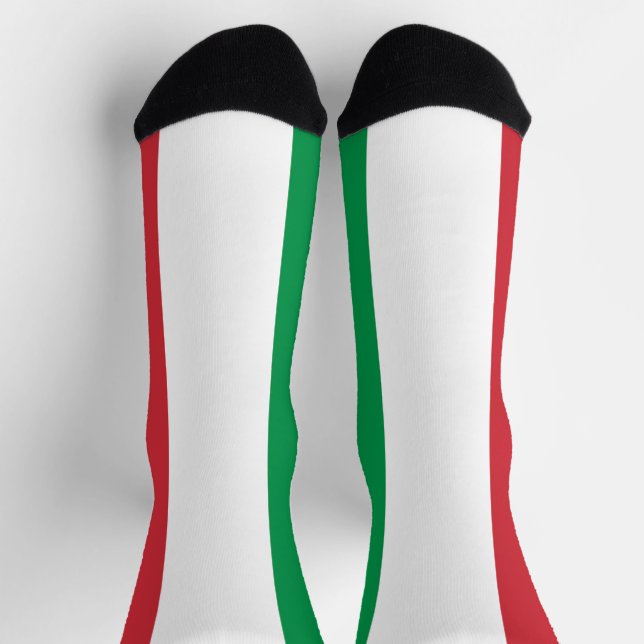 Italy Flag Socks (Top)