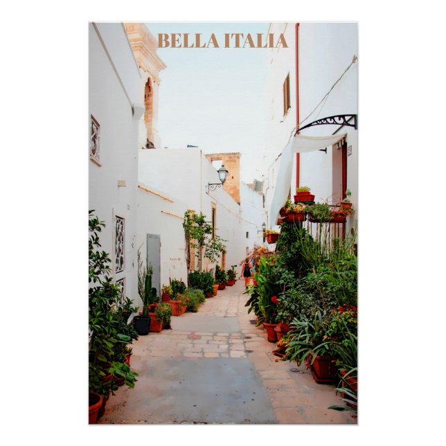 ** Italy Italia Street Plants Pottery AP12 Poster (Front)