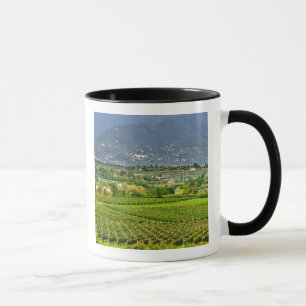 Italy, Lake Garda. The shores of Lake Garda are Mug