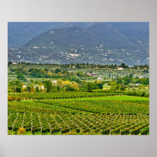 Italy, Lake Garda. The shores of Lake Garda are Poster