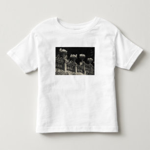 Italy, Lecco Province, Varenna. Lakeside Toddler T-shirt