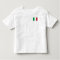 Italy National World Flag
