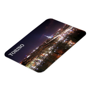 Italy - Piedmont - Turin - Magnet