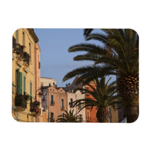 Italy, Sardinia, Cagliari. Buildings and palms Magnet