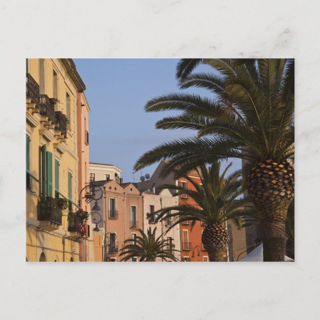 Italy, Sardinia, Cagliari. Buildings and palms Postcard (Front)