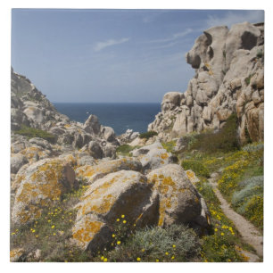Italy, Sardinia, Santa Teresa Gallura. Capo 2 Tile