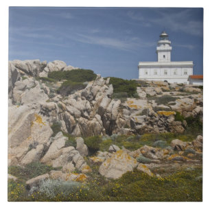 Italy, Sardinia, Santa Teresa Gallura. Capo Tile