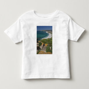 Italy, Sardinia, Tharros. View from the Spanish Toddler T-shirt