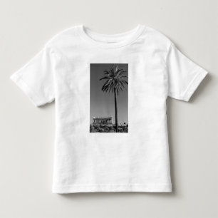 Italy, Sicily, Agrigento, La Valle dei Templi, 3 Toddler T-shirt