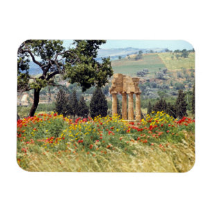 Italy, Sicily, Agrigento. The ruins of the Magnet