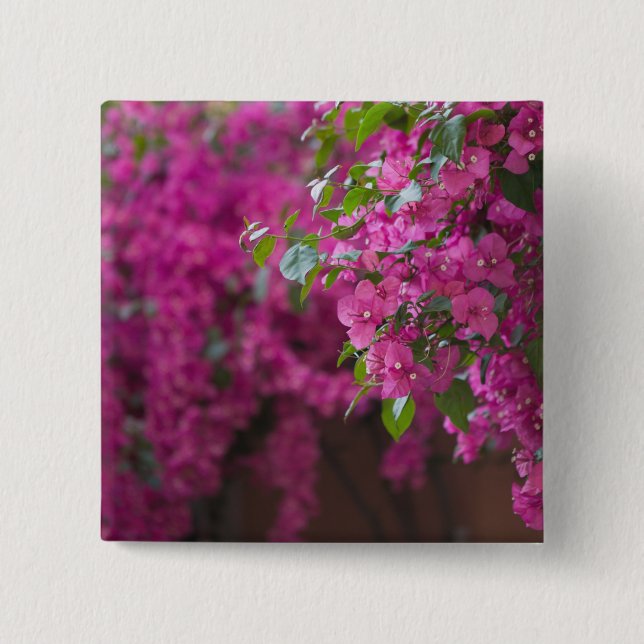 Italy, Sicily, Cefalu, Flowered Courtyard by 2 Inch Square Button (Front)