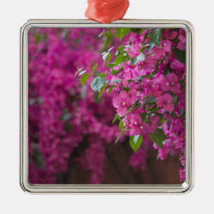 Italy, Sicily, Cefalu, Flowered Courtyard by Metal Ornament