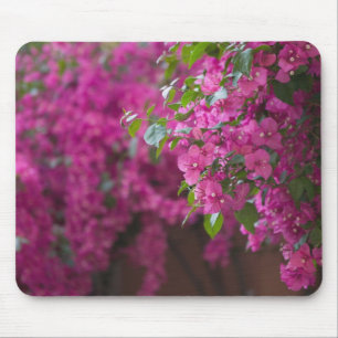 Italy, Sicily, Cefalu, Flowered Courtyard by Mouse Pad