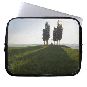 Italy, Tuscany, Cypress Trees in Tuscany with Laptop Sleeve