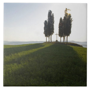 Italy, Tuscany, Cypress Trees in Tuscany with Tile