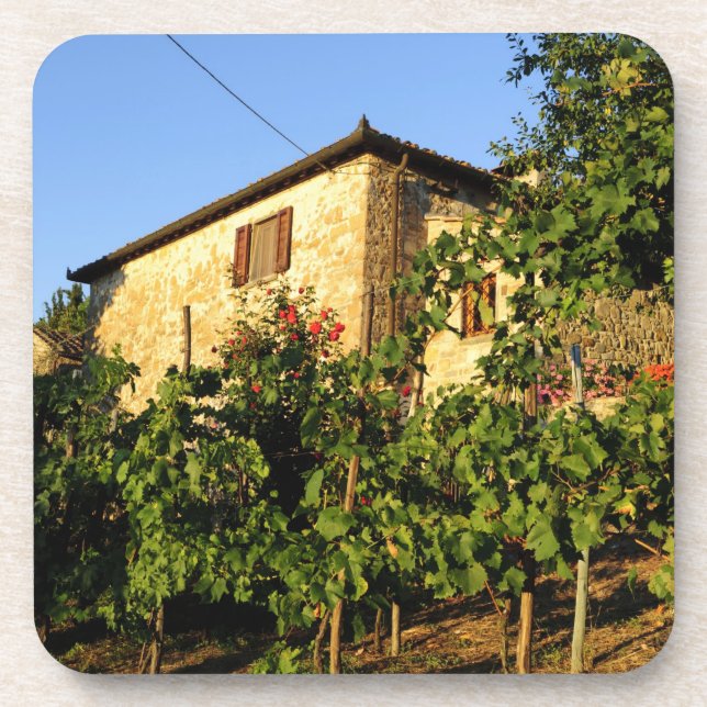 Italy, Tuscany, Greve. Late summer wine scenes Coaster (Front)
