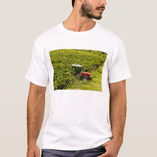 Italy, Tuscany, Greve. Pickers at work during T-Shirt