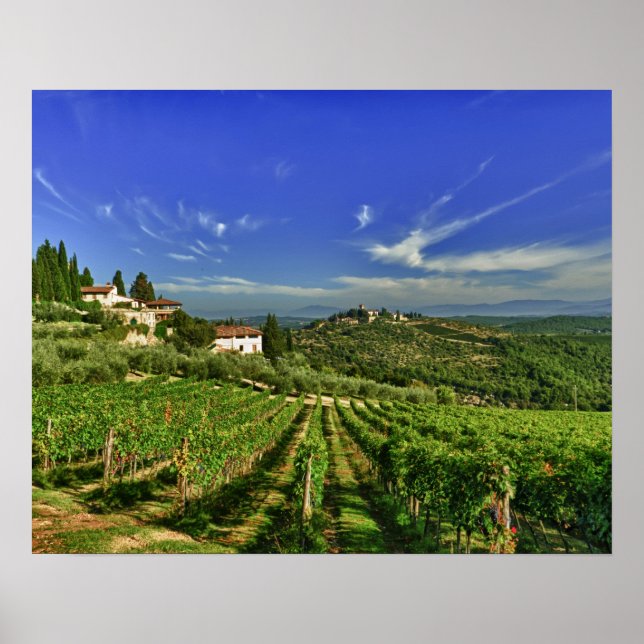 Italy, Tuscany, Greve. The vineyards of Castello Poster (Front)