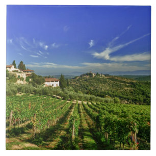 Italy, Tuscany, Greve. The vineyards of Castello Tile