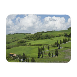 Italy, Tuscany. La Foce. A curved road winds up Magnet
