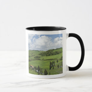 Italy, Tuscany. La Foce. A curved road winds up Mug