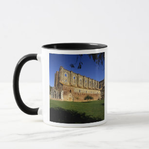 Italy: Tuscany, Massa Marittima, San Galgano Mug