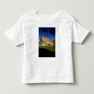 Italy: Tuscany, Massa Marittima, San Galgano Toddler T-shirt