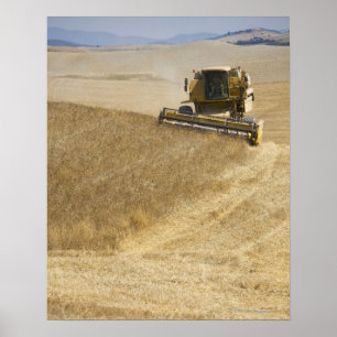 Italy. Tuscany. Montalcino 4 Poster