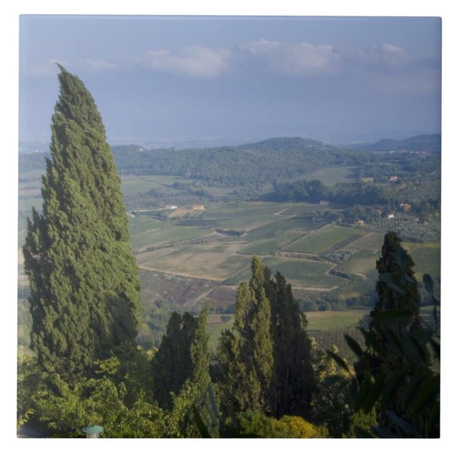 Italy, Tuscany, Montepulciano. View of the Tile (Front)